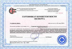 Сертификат Сыроегин
